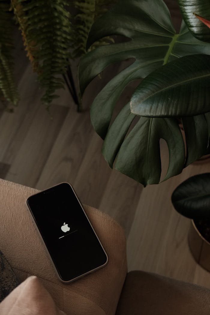 A smartphone charging on a sofa beside a lush Monstera plant in a cozy indoor setting.